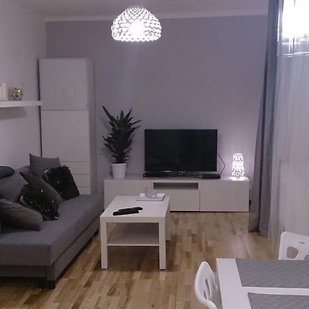 1 Bedroom City Center Apartment Katowice Habitación foto